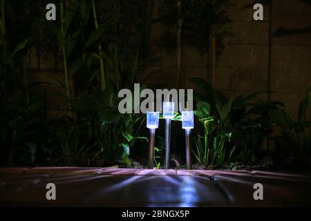 Garden LED lamp lighting. Small solar lighting shining in a garden and casting shadow in multiple direction. cool light temperature for modern hi tech Stock Photo