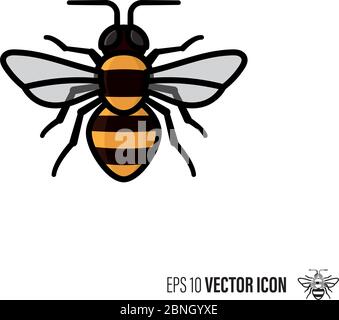 Honey bee line and color filled outline icon vector illustration. Beneficial insect symbol. Stock Vector