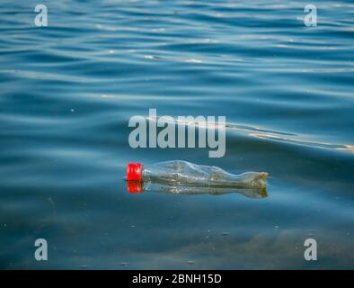 A PET plastic bottle floating on water of a lake in Bucharest, Romania. Plastic pollution environment concept. Stock Photo