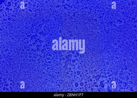 Small and irregular drops of water on a shiny green surface. Stock Photo