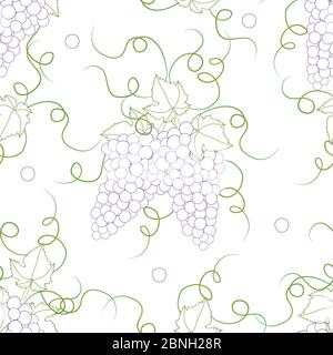 Colorful Line Seamless Grape on White Background. Vector Illustration. Stock Vector