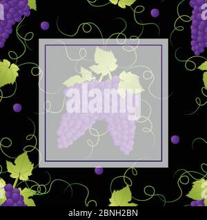 Pueple Grape Banner on Black Background. Vector Illustration. Stock Vector