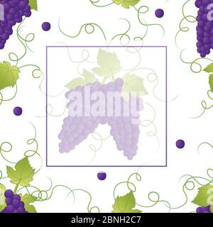 Pueple Grape Banner on White Background. Vector Illustration. Stock Vector