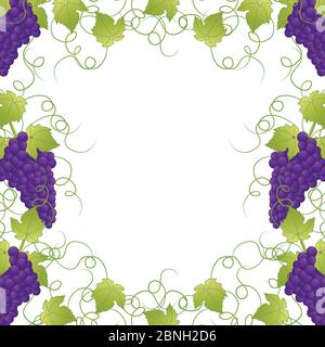 Purple Grape Frame Vine on White Background. Vector Illustration. Stock Vector