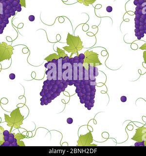 Pueple Grape Seamless on White Background. Vector Illustration. Stock Vector