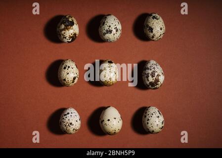 Creative quail egg layout on brown background. Quail eggs pattern. Happy easter concept. Creative food layout. Healthy breakfast, diet food concept. C Stock Photo