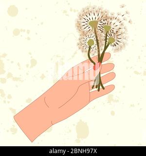Flat illustration with colorful hand and dandelion bouquet on light background for postcard design. Meadow blossom. Vector isolated art concept. Stock Vector