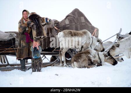 Nenet woman preparing for spring migration dressing herself and her son in traditional winter boots and coat made with reindeer skin. The temperature Stock Photo