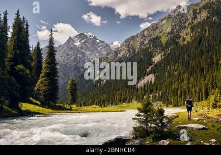 Tourist with big backpack is walking down the road in the forest of mountain valley in Karakol national park, Kyrgyzstan Stock Photo