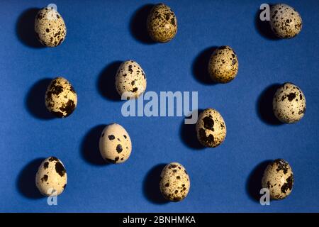 Creative quail egg layout on blue background. Quail eggs pattern. Happy easter concept. Minimal design. Copy space, flat lay, from above. Trendy color Stock Photo