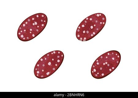 Sausage slice set. Vector illustration. Snack food. Stock Vector