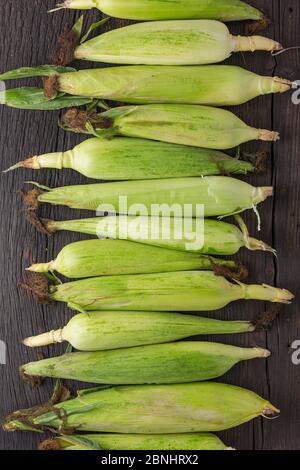 sweet corn, grain food, fresh corn, drawn , wood background, grilled corn, sweet corn, yellow corn Stock Photo