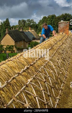 Dan Quatermain, master thatcher working on ridge of thatched roof in Wroxton, Oxfordshire, UK. September 2015. Stock Photo
