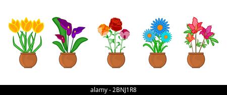 Set flower in pot isolated on white background. Indoor and outdoor landscape garden potted plants. Potted plants collection. Stock vector illustration Stock Vector