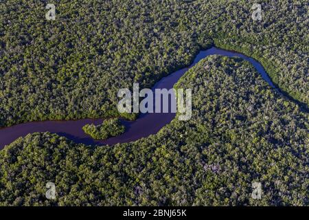 Aerial view of water channel in wetland with Mangrove and Cypress trees, aerial shot, Everglades National Park, Florida, USA, January 2015. Stock Photo