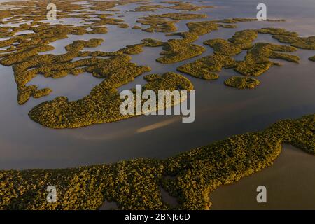 Mangove Islands, aerial shot, Ten Thousand Islands, Everglades National Park, Florida, USA, January 2015. Stock Photo