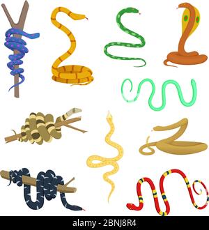 Cartoon pictures of different snakes and reptiles Stock Vector