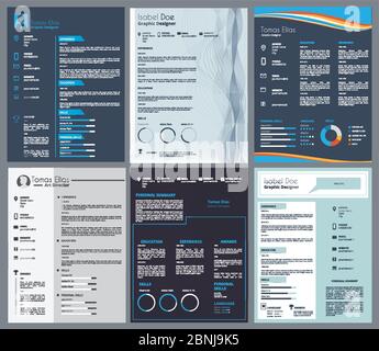 Resume or curriculum vitae. Design template with place for your text Stock Vector