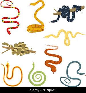 Pictures of colored reptiles. Poisonous snakes Stock Vector