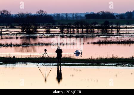 Photographer at dawn waiting for perfect shot among flooded fields near Burrowbridge, Somerset Levels, Somerset, UK, February. Stock Photo