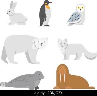 Vector illustrations of arctic snow animals Stock Vector