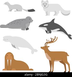Northern and arctic animals. Vector illustrations in flat style Stock Vector