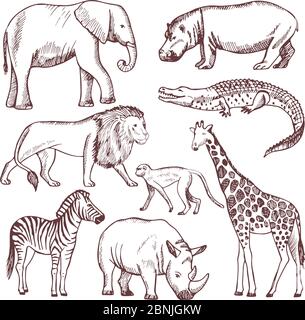 Different animals of savana and africa Stock Vector