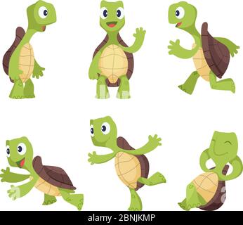 Funny cartoon characters of turtles in various poses Stock Vector