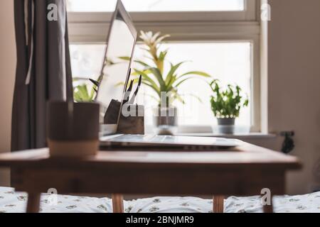 A low angle abstract view of a wooden desk with a laptop and two plants on top of a bed with more green plants on the windowsill in the background Stock Photo