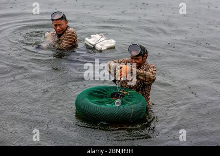 Manila. 15th May, 2020. Fishermen catch crabs under the downpour brought by typhoon Vongfong in Manila Bay, the Philippines on May 15, 2020. Typhoon Vongfong tore off roofs and shook trees as it made landfall in central Philippines' Eastern Samar province at 12:15 p.m. local time on Thursday, authorities said. Vongfong is the first typhoon to batter the Philippines this year as the country grapples with the fallout of COVID-19 pandemic. Credit: Rouelle Umali/Xinhua/Alamy Live News Stock Photo