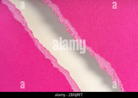 Ripped pieces of purple paper isolated on white background. Paper piece torn edge. Rip sheet paper tears. Copy space, frame, banner Stock Photo