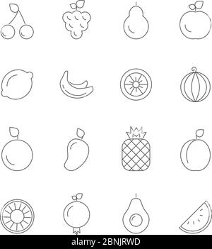 Various icons of fruits. Vegan symbols isolate on white. Vector linear illustrations Stock Vector