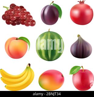 Realistic vector illustrations of various fruits Stock Vector