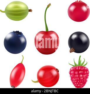 Realistic pictures of berries. Various fresh fruits Stock Vector