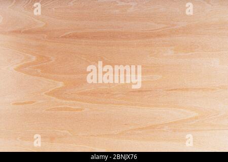 Light brown wood texture with natural pattern. Grunge washed wooden planks table background. Laminate, parquet or plywood wood surface. Rustic shabby Stock Photo
