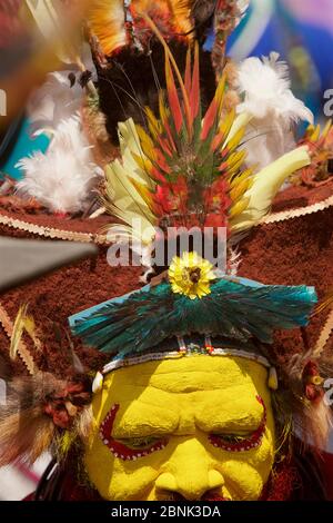 Huli 'singsing' dance ceremony. Huli wigmen wearing human hair wigs and feathers of various birds of paradise and other bird species. Tari Valley, Sou Stock Photo