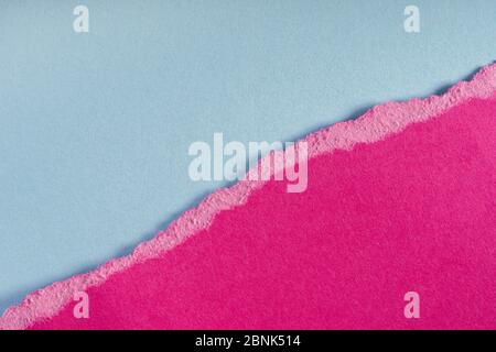 Pieces of torn ragged purple paper edges on blue background. Ripped cracked paper edge isolated with soft shadow. Paper piece torn edge. Copy space, f Stock Photo