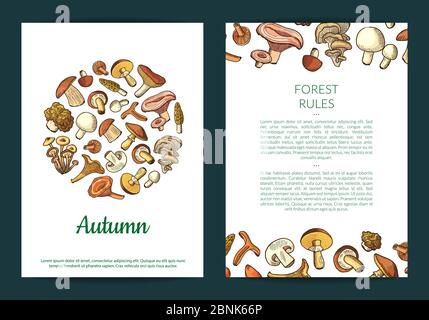 Vector hand drawn mushrooms card, flyer or brochure template illustration Stock Vector