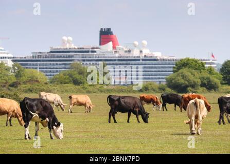 Dibden Bay on the  New Forest  waterside pictured with Southampton Docks in the background. Stock Photo