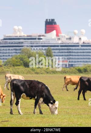 Dibden Bay on the  New Forest  waterside pictured with Southampton Docks in the background. Stock Photo