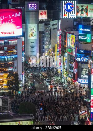 7.2.20: Shibuya crossing from a high vantage point at night Stock 