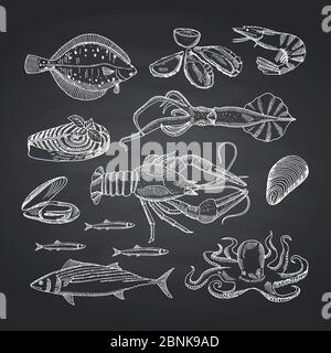 Vector hand drawn seafood elements on black chalkboard set Stock Vector