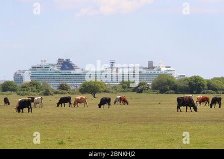 Dibden Bay on the  New Forest  waterside pictured with Southampton Docks in the background. Stock Photo