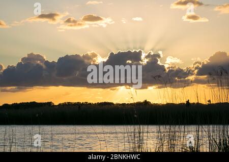 Sun shines from behind a row of cumulus clouds, causing sun beams or crepuscular rays over a lake in Holland. Stock Photo