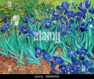 Van Gogh, Irises. Painting entitled “Irises” by Vincent van Gogh (1853-1890), oil on canvas, 1889. Stock Photo