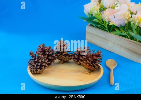 Dry pine cone on wood dish on blue background Stock Photo