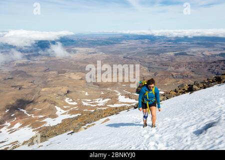 A female climber ascending a snow-covered slope on Mount Ruapehu, Tongariro National Park, New Zealand