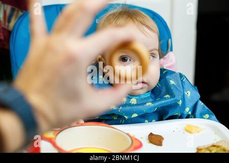 A small child sits in a feeding chair, looks through a bagel and eats bread for the first time. Face in crumbs Stock Photo