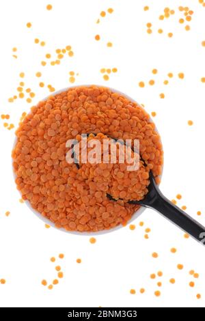 Close up of Orange Masoor Dal (Red Chief) lentil lens isolated on white background with Spoon. Stock Photo
