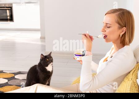 Black cat begs for food from her owner eating yogurt, watches her every action, sitting on the floor in living room, selective focus. Woman teases cat Stock Photo